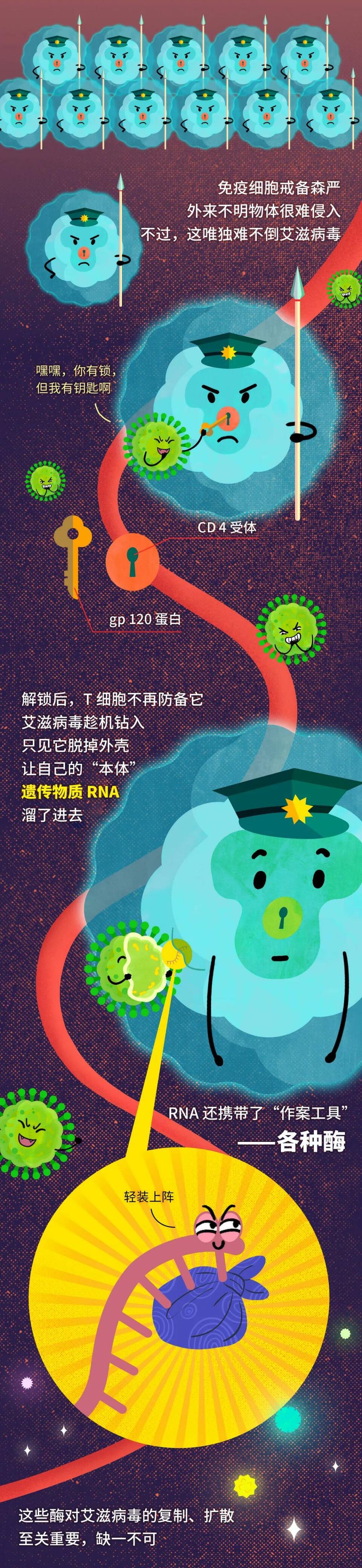 艾滋病毒入侵后，其实还有72小时自救