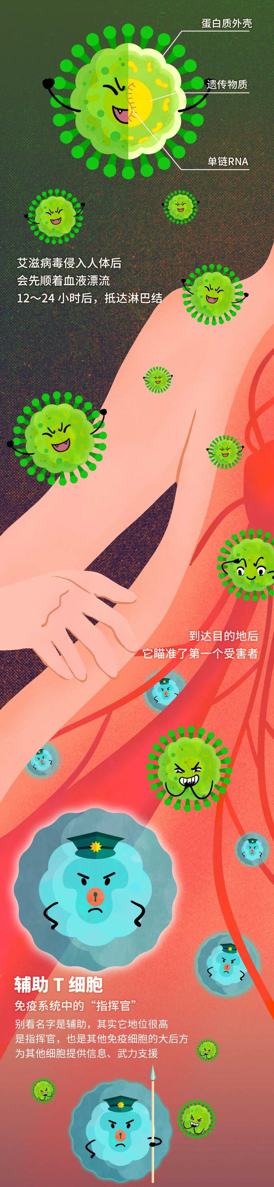 艾滋病毒入侵后，其实还有72小时自救