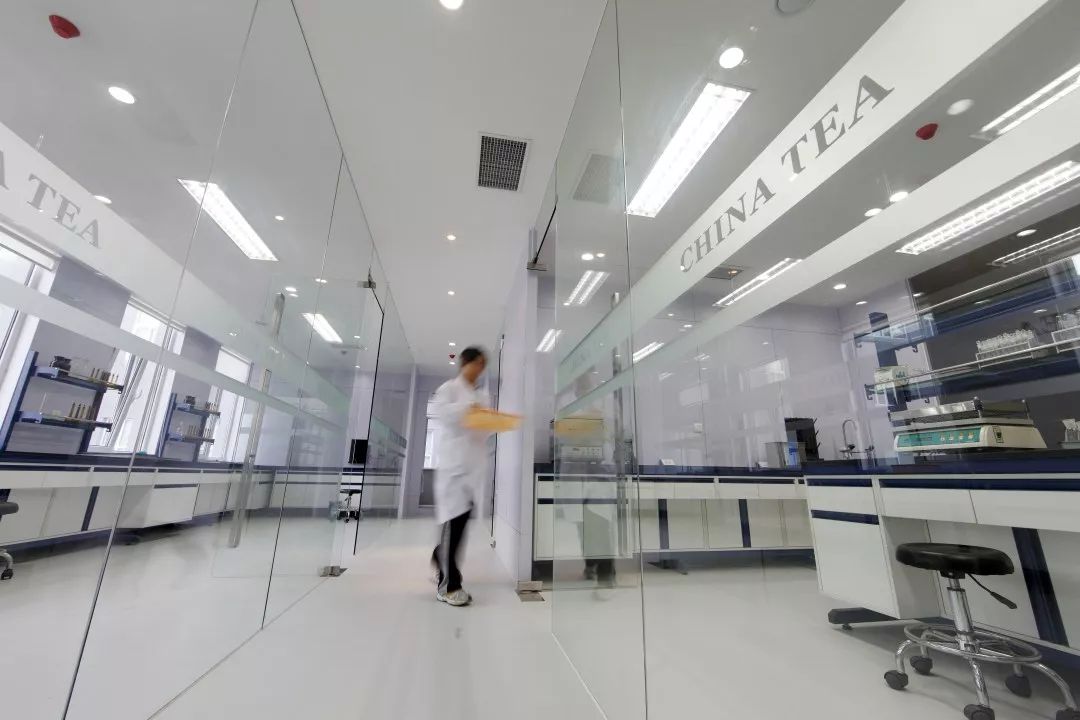 【专题 茶企播报】福建张一元茶业：不忘初心香自远