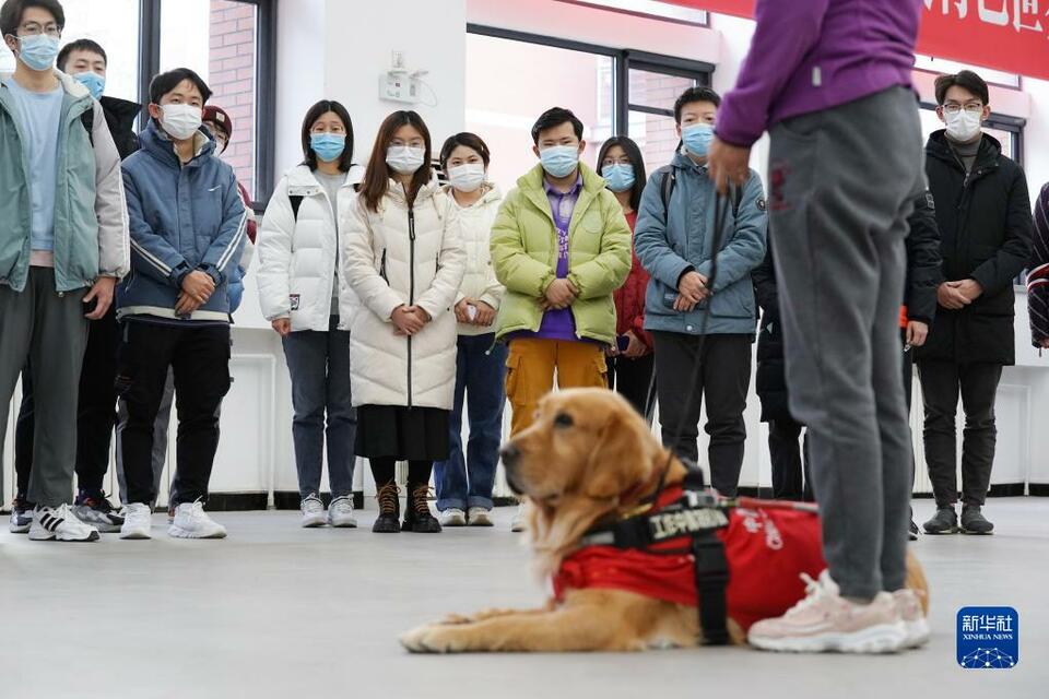 冬奥志愿者培训：设置手语、导盲犬等七项主题实操演练