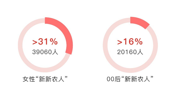 95后“新新农人”已经成为农产品电商生力军_fororder_图片11