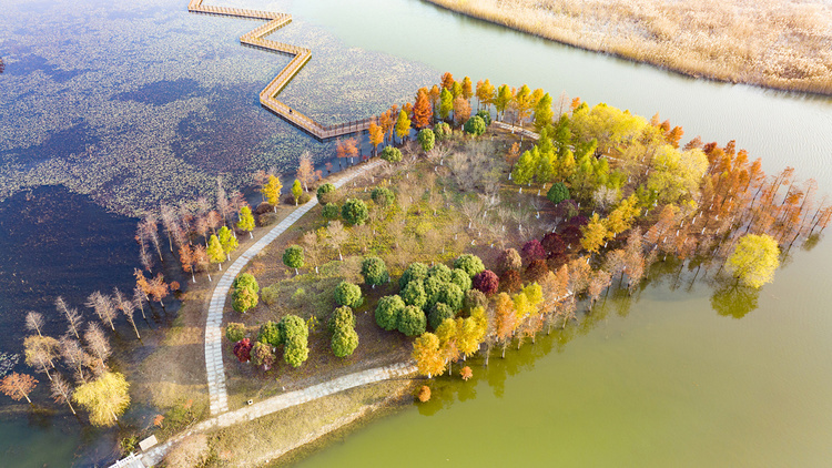 美丽江苏·每日一景丨东海西双湖：斑斓冬景生态美