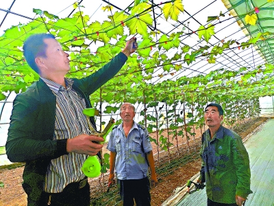 荆坨村拓荒