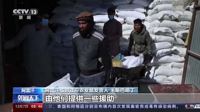 阿富汗临时政府农业部发言人接受总台专访：计划建设农业基础设施