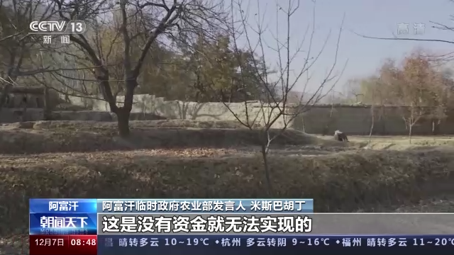 阿富汗临时政府农业部发言人接受总台专访：计划建设农业基础设施