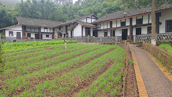 南充西充县跳蹬河村：党建引领壮大村集体经济 助推乡村振兴_fororder_跳蹬河村民居---摄影--张景轩