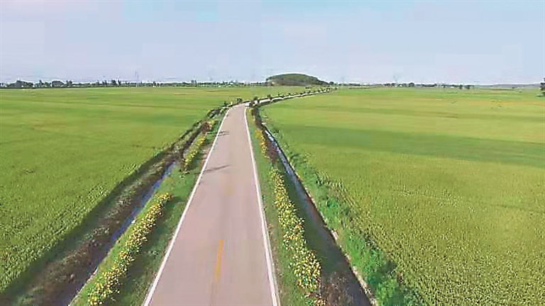赓续精神血脉 建设人民满意交通