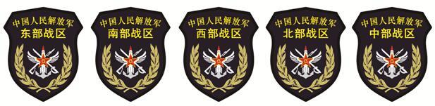 主设计师揭秘解放军15式系列臂章胸标(组图)