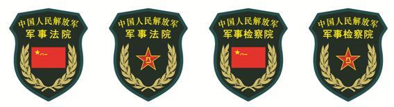 主设计师揭秘解放军15式系列臂章胸标(组图)