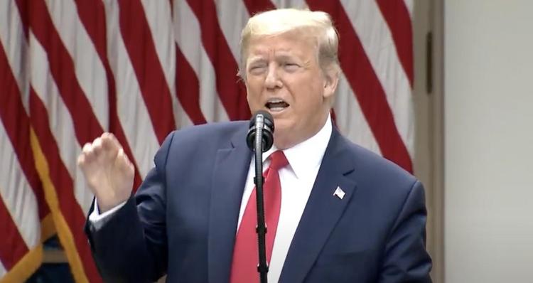 特朗普宣布美国将终止与世卫组织的关系