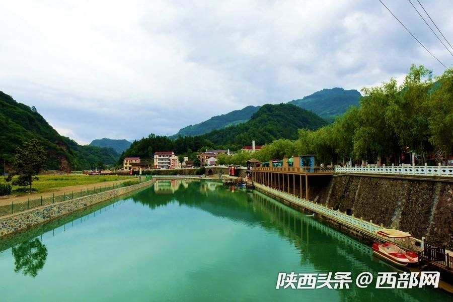 陕南小镇向日葵花开成海 吸引游客前往