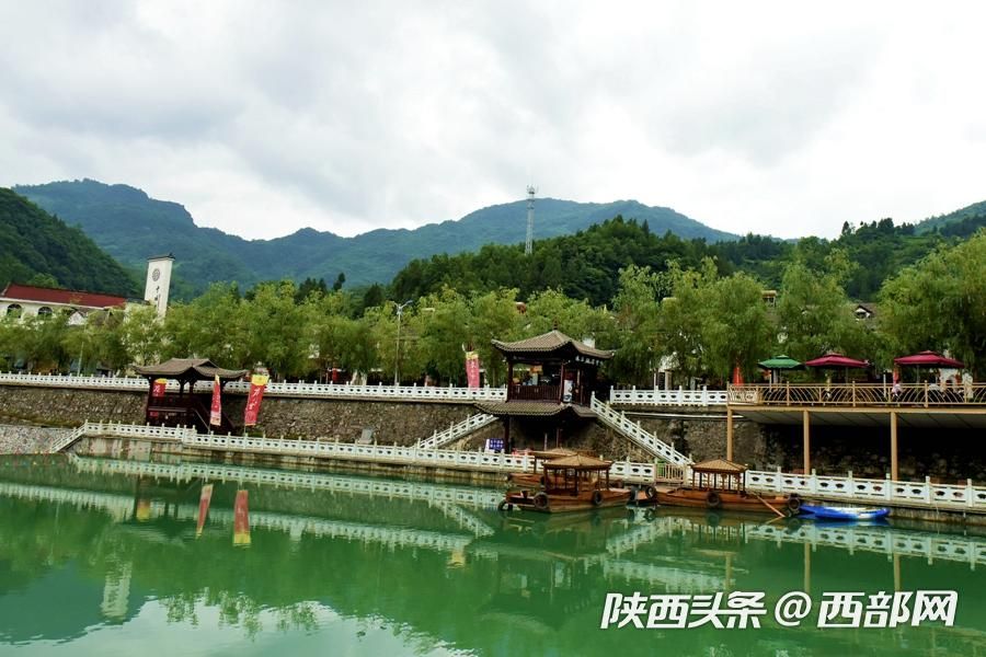 陕南小镇向日葵花开成海 吸引游客前往