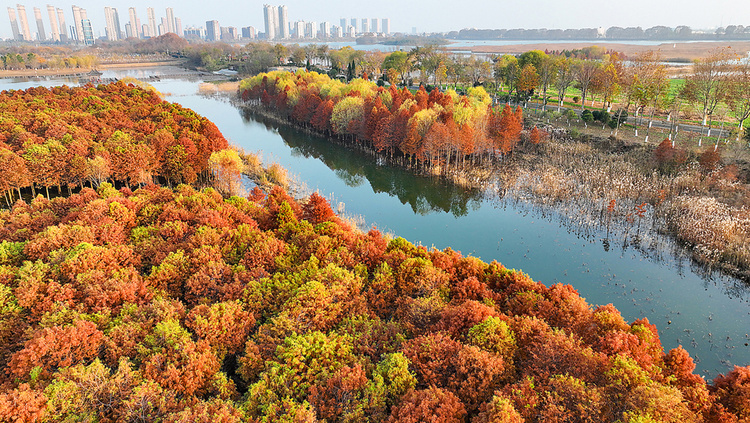 美丽江苏·每日一景丨东海西双湖：斑斓冬景生态美