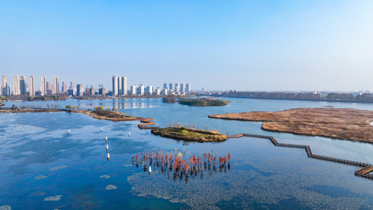 美丽江苏·每日一景丨东海西双湖：斑斓冬景生态美