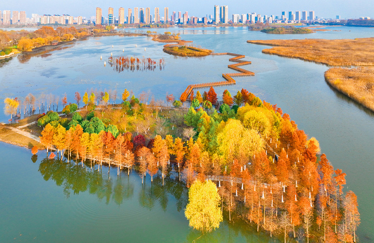 美丽江苏·每日一景丨东海西双湖：斑斓冬景生态美