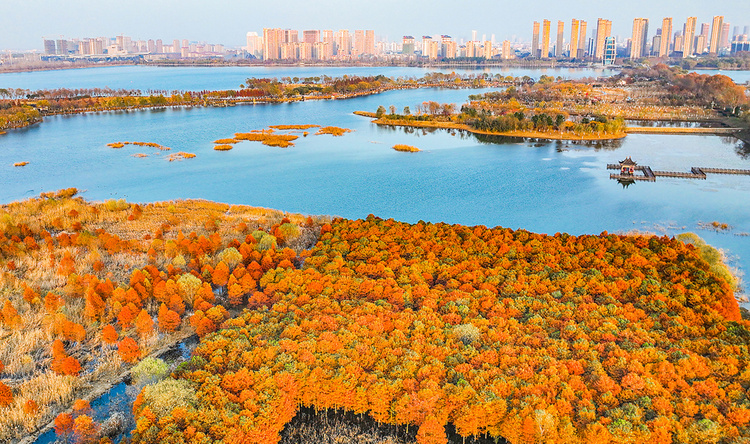 美丽江苏·每日一景丨东海西双湖：斑斓冬景生态美