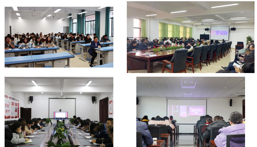 打开大脑黑箱 聚焦教育神经科学——第七届中国西部（昆明）基础教育论坛举行