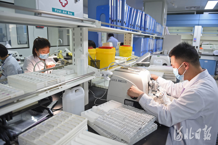 河北固安：打造生命健康产业集群