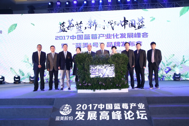 中国蓝莓产业化发展峰会今举行 “蓝美1号”正式发布