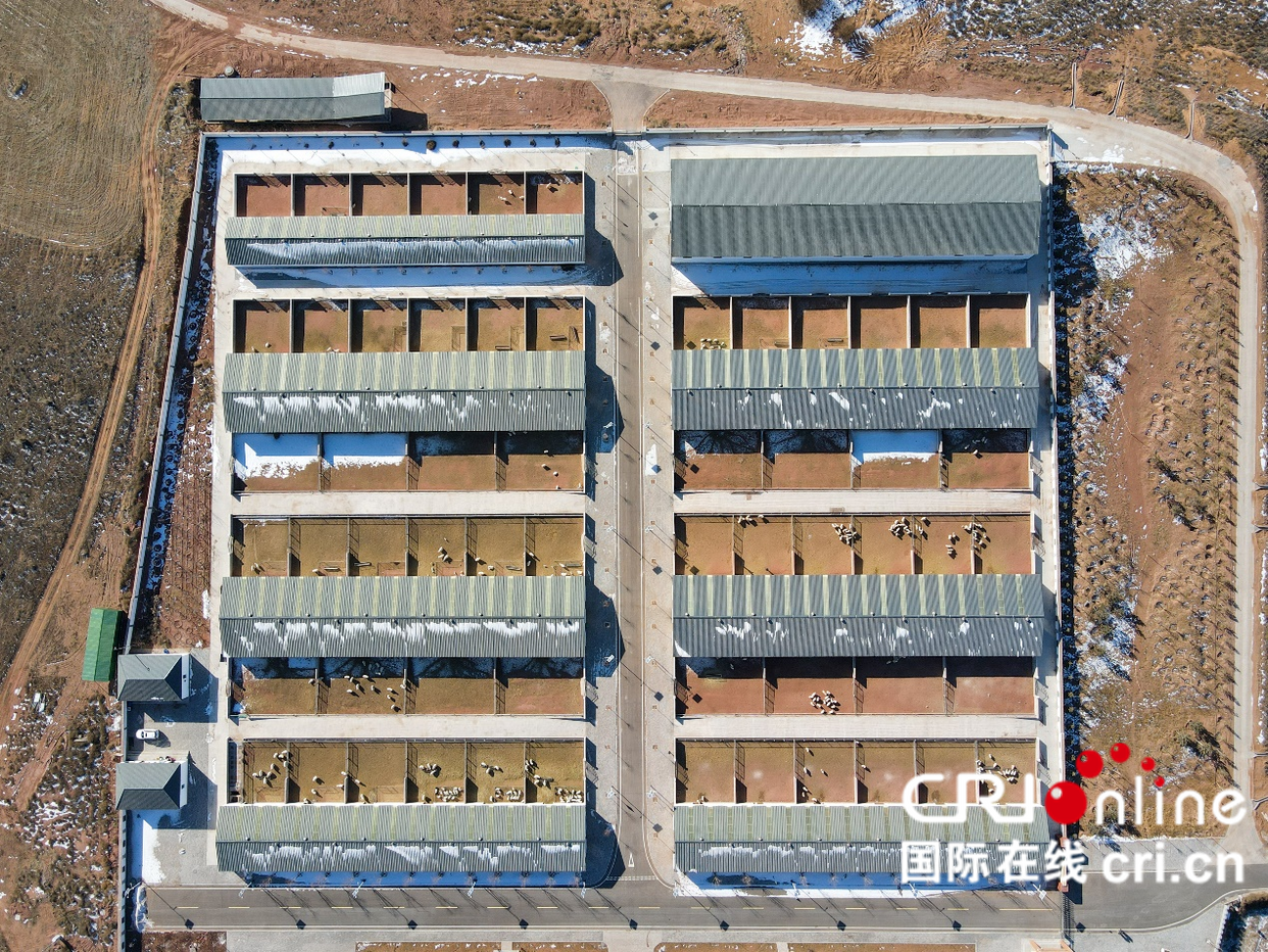 Ordos: To Build a National Model City of Modern Energy Economy_fororder_图片1