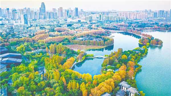 武汉擘画五年蓝图：奋力打造新时代英雄城市_fororder_01