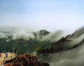 游客可免费预约观赏大连大黑山杜鹃花海