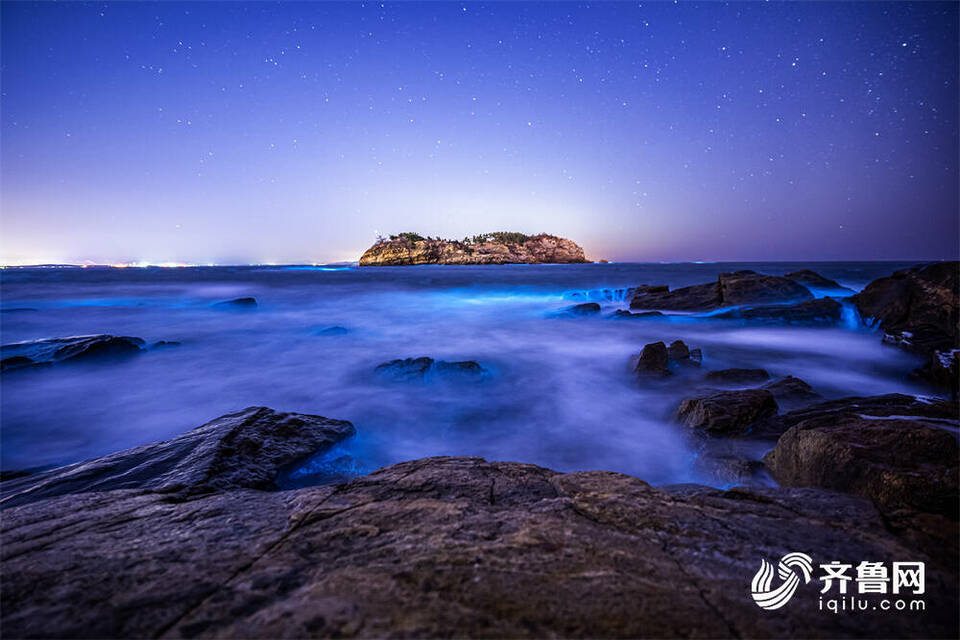 组图｜威海现绝美“荧光海” 夺目似星河