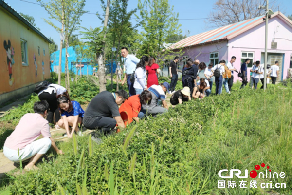 【供稿待审】“阳光相伴 与爱同行”——北京市朝阳区非公有制医疗机构协会走进太阳村（绿色经济）