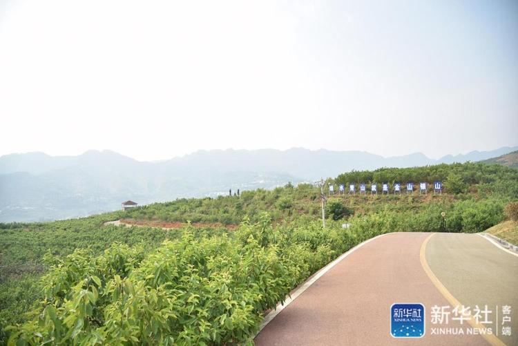 乌蒙山农民的笑脸——贵州脱贫攻坚一线采访随笔