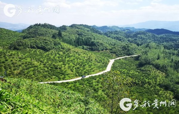 （大扶贫）贵州组组通|高质量建设 高标准管护  打造百姓出行放心路、群众满意幸福路