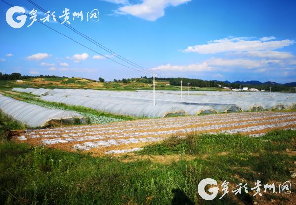 （大扶贫）贵州组组通|高质量建设 高标准管护  打造百姓出行放心路、群众满意幸福路