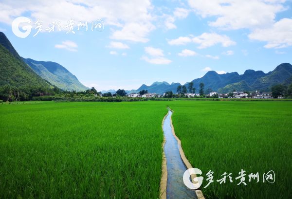 （大扶贫）贵州组组通|高质量建设 高标准管护  打造百姓出行放心路、群众满意幸福路