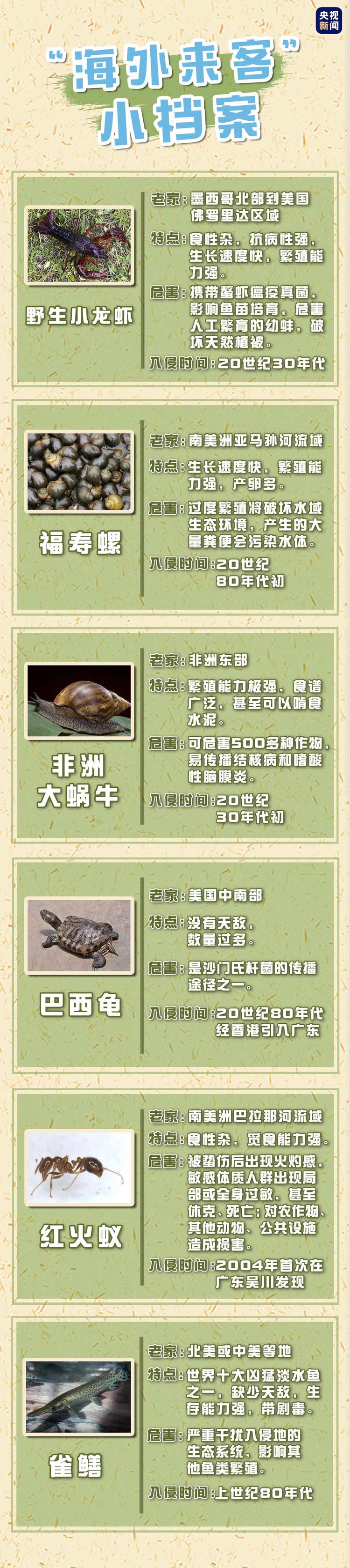 生态环境部更新外来入侵物种名单！ 一起来涨点知识
