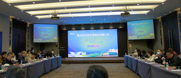 四川省贸促会支持攀枝花市成功举办商务领域投资推介会_fororder_推介会现场-供图-四川省贸促会