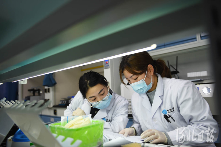 河北固安：打造生命健康产业集群