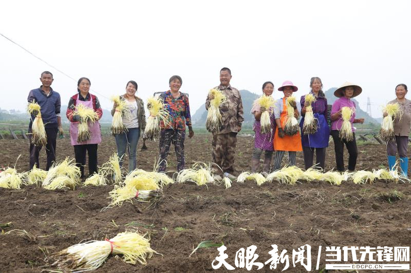 （中首）安顺：黔中崛起阔步前行