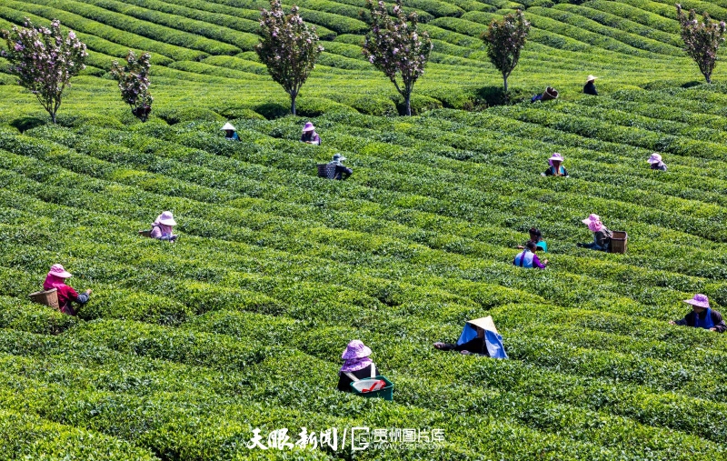 （中首）安顺：黔中崛起阔步前行