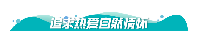 图片默认标题_fororder_059
