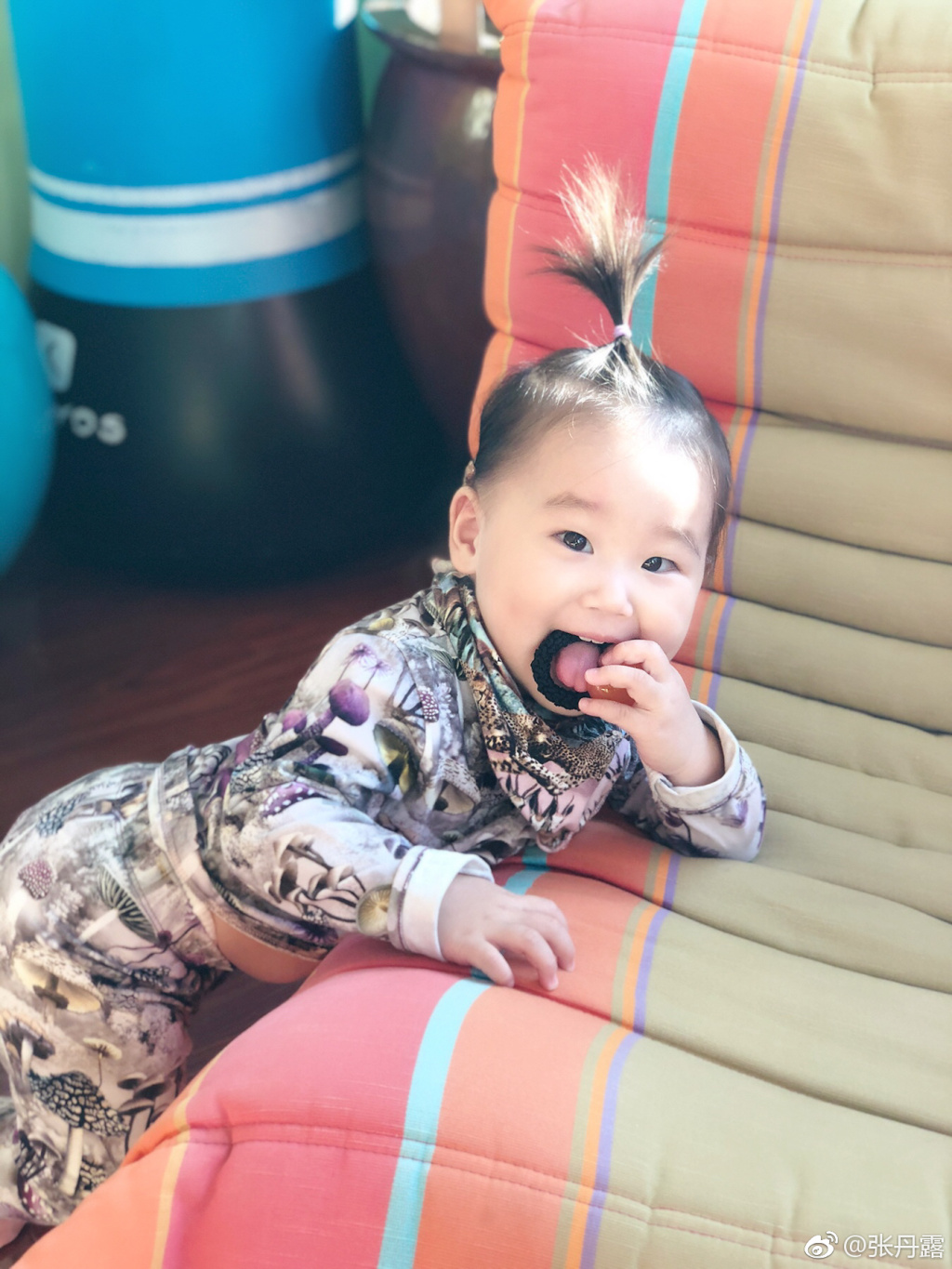 赵文卓老婆晒娃照片 女儿扎朝天揪像爹又像妈