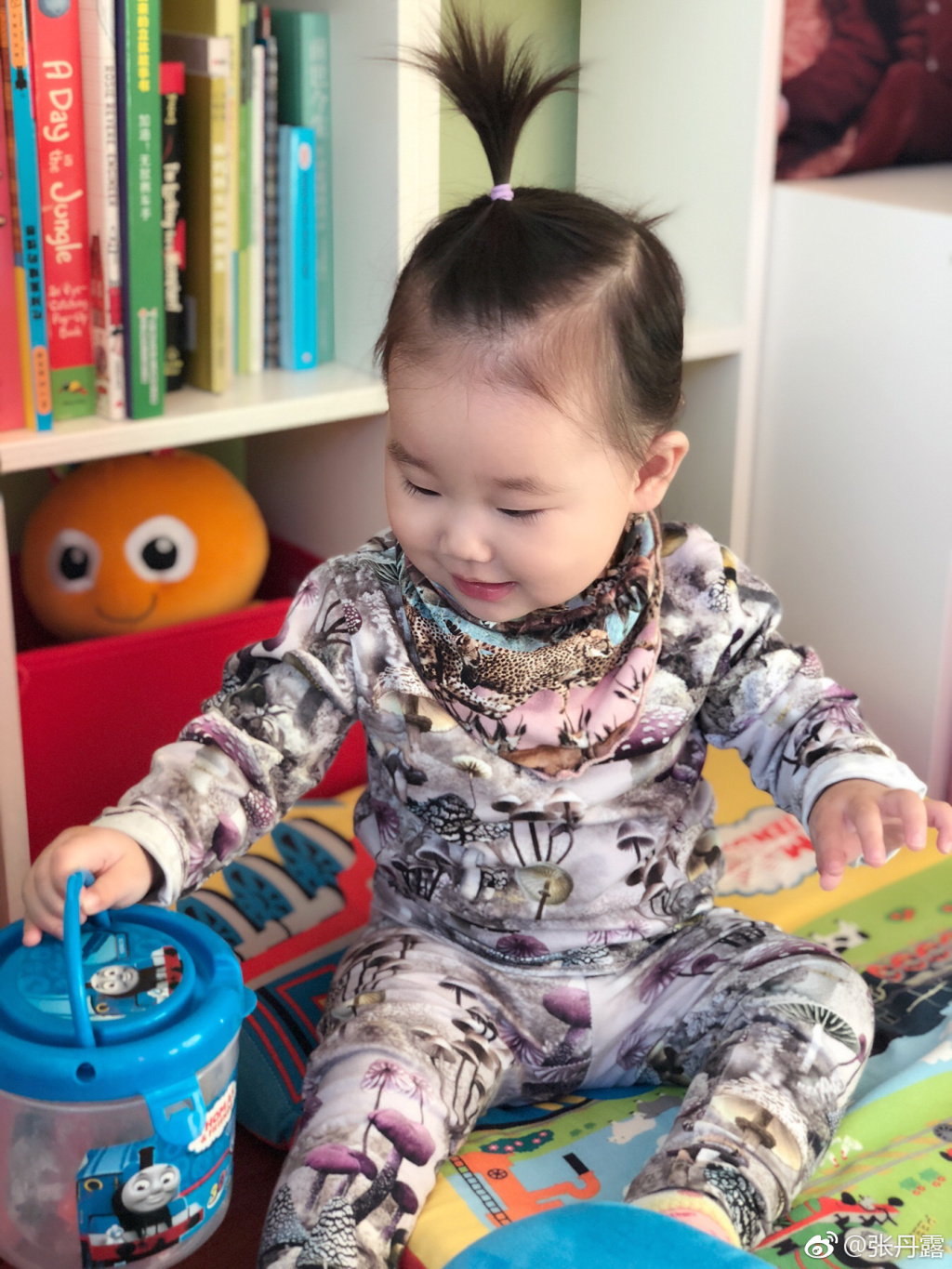 赵文卓老婆晒娃照片 女儿扎朝天揪像爹又像妈