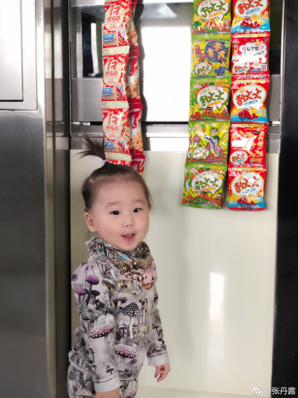 赵文卓老婆晒娃照片 女儿扎朝天揪像爹又像妈