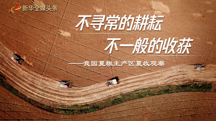 不寻常的耕耘，不一般的收获——我国夏粮主产区夏收观察