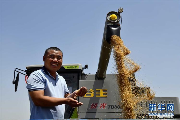 不寻常的耕耘，不一般的收获——我国夏粮主产区夏收观察