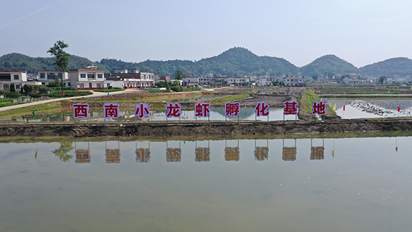 宜宾兴文：聚力打造现代智慧农业产业园_fororder_兴文县润亿澳龙养殖专合社小龙虾孵化基地-供图-兴文县委宣传部3