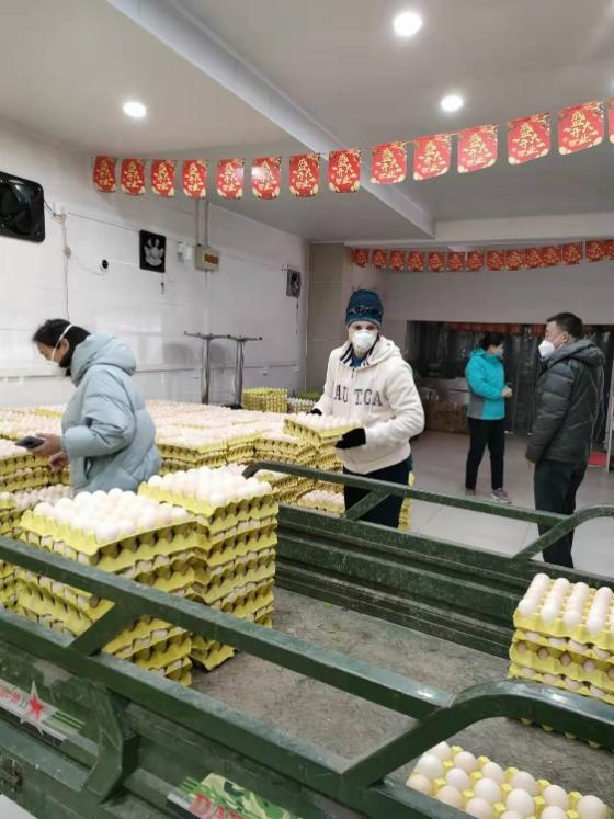 图片默认标题_fororder_72760B247B8612352F8F6CFA705_BCB80E9C_BE3FE