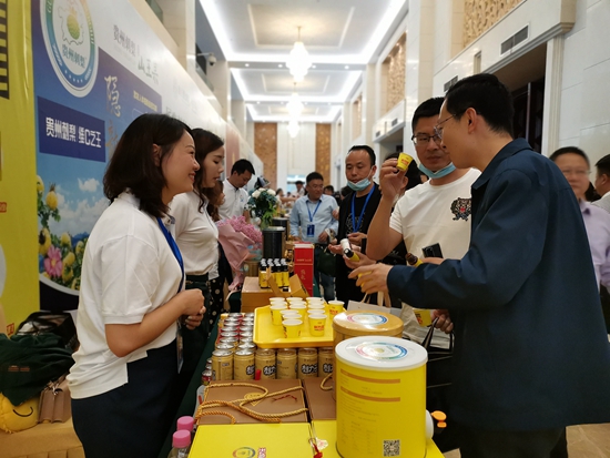 贵州刺梨公共品牌及系列标准发布会在贵阳召开