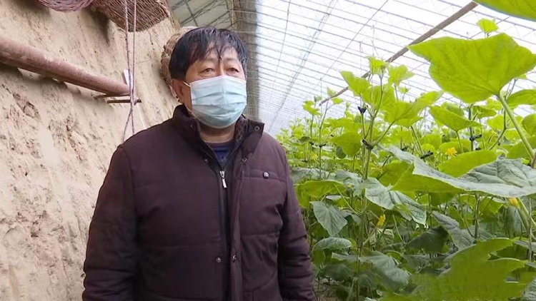 陕西甘泉：大棚蔬菜销售“春意浓” 销路畅_fororder_图片1