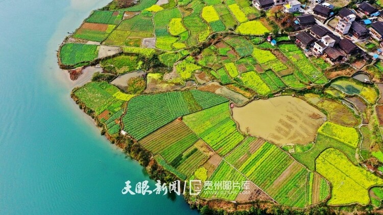 （中首）黔东南榕江：油菜花开乡村如画