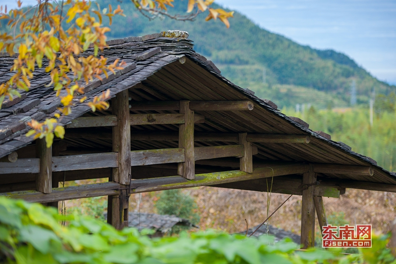 德化：桂阳乡“全域旅游”  打造 “‘寨’见桂阳”