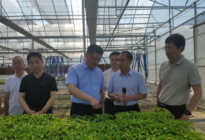 西安市雁塔区长赵雷带队赴安康市汉滨区考察对接区域对口帮扶工作